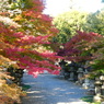秋の能仁寺参道(2)