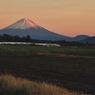 夕焼けに染まる