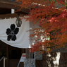 紅葉その１４