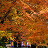 大田神社