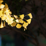 山下公園その８