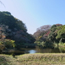 道灌濠