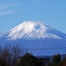 師走の富士山