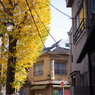 autumn for tokyoites 2023