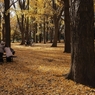 去秋公園　５