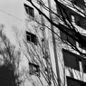 On The Sunny Side Of Town (Dec.17, 2023)