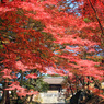 山科 毘沙門堂