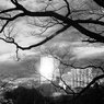 On The Sunny Side Of Town (Dec.21, 2023)