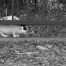 DSC07044