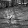 On The Sunny Side Of Town (Dec.21, 2023)