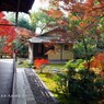 正伝永源院