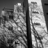 On The Sunny Side Of Town (Dec.23, 2023)
