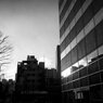 On The Sunny Side Of Town (Dec.23, 2023)