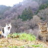 冬・眠*
