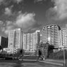 On The Sunny Side Of Town (Dec.26, 2023)