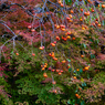P1100289