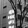 On The Sunny Side Of Town (Jan.2, 2024)