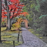 紅葉と萩のトンネル
