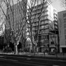 On The Sunny Side Of Town (Jan.5, 2024)