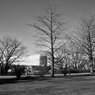 On The Sunny Side Of Town (Jan.5, 2024)