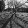 On The Sunny Side Of Town (Jan.5, 2024)