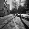 On The Sunny Side Of Town (Jan.5, 2024)