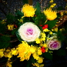 妙昌寺の花手水(2)