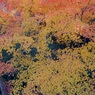 P1110702
