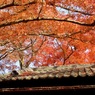 P1120307