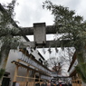 正月の川越熊野神社鳥居