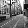 On The Sunny Side Of Town (Jan.8, 2024)