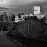 On The Sunny Side Of Town (Jan.9, 2024)