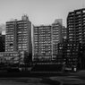 On The Sunny Side Of Town (Jan.9, 2024)