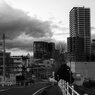 On The Sunny Side Of Town (Jan.9, 2024)