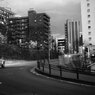On The Sunny Side Of Town (Jan.9, 2024)