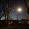 On The Sunny Side Of Town (Jan.11, 2024)