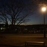 On The Sunny Side Of Town (Jan.11, 2024)