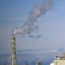 蒲生干潟（宮城県仙台市）Jan.14, 2024