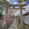 千住神社(鳥居)