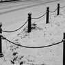 On The Sunny Side Of Town (Jan.16, 2024)