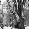 On The Sunny Side Of Town (Jan.16, 2024)