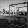 On The Sunny Side Of Town (Jan.17, 2024)