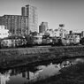 On The Sunny Side Of Town (Jan.17, 2024)