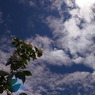 R0016879