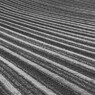 Lines《Monochrome》
