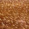 WINTER BROWN