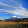 現場報告～らしくなった富士