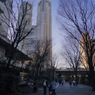 写真エッセイ：東京散歩27：東京都庁１