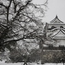 Snow-covered HIKONE Castle