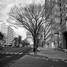 On The Sunny Side Of Town (Jan.27, 2024)